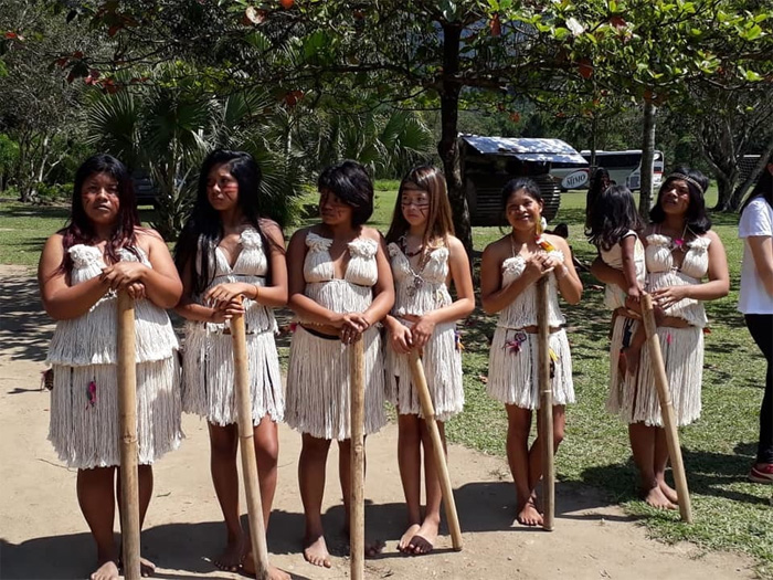 Resultado de imagem para povos indigenas no brasil 2019