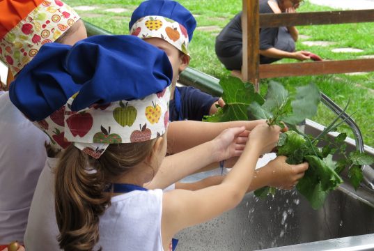 O Sesc Taubaté oferece, neste domingo, dia 12 de novembro, a oficina Mestre Cuca: De Onde Vem a Mandioca? Foto: Divulgação