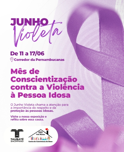 Captura-de-tela-2025-06-11-114151