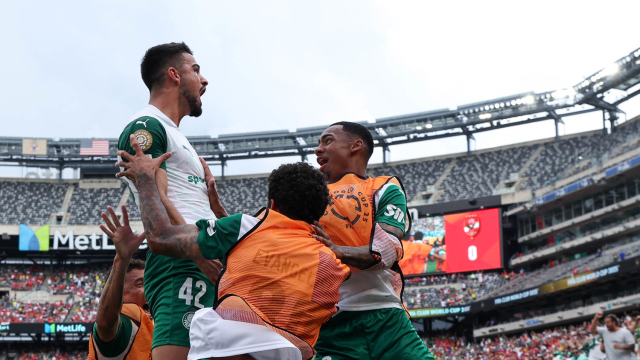 palmeiras